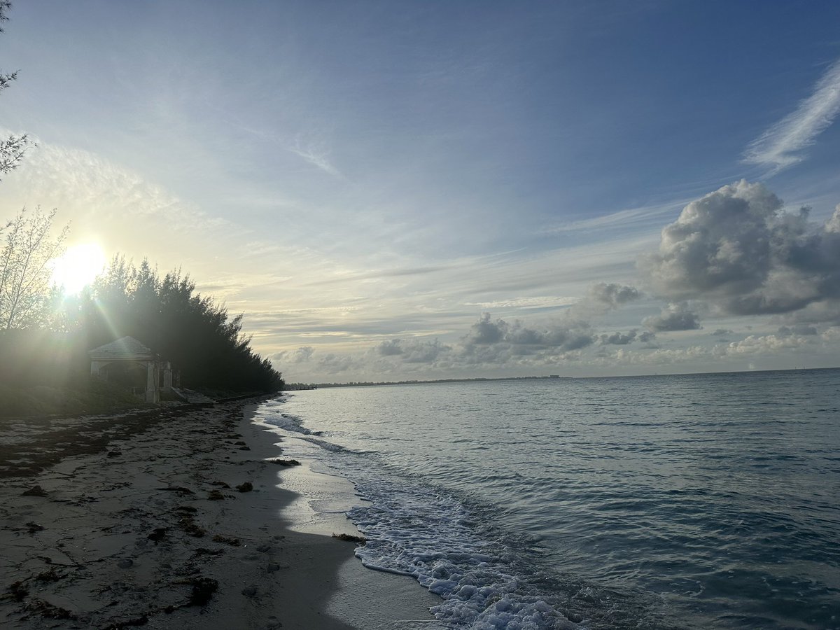 Good morning rise and shine happy Monday 🌴