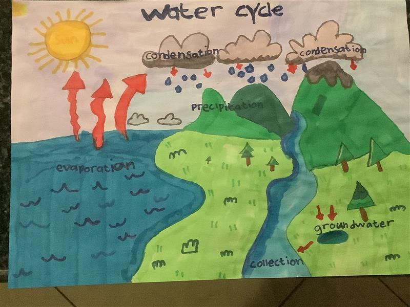 💧☀️🌧️ Our Grade 4 Evolvees have been exploring the Water Cycle! 🌊💨🌦️ They showed their understanding through some amazing drawings that capture evaporation, condensation, precipitation, and collection beautifully! 🎨🖍️#EvolveOnlineSchool #WaterCycle #CreativeLearning