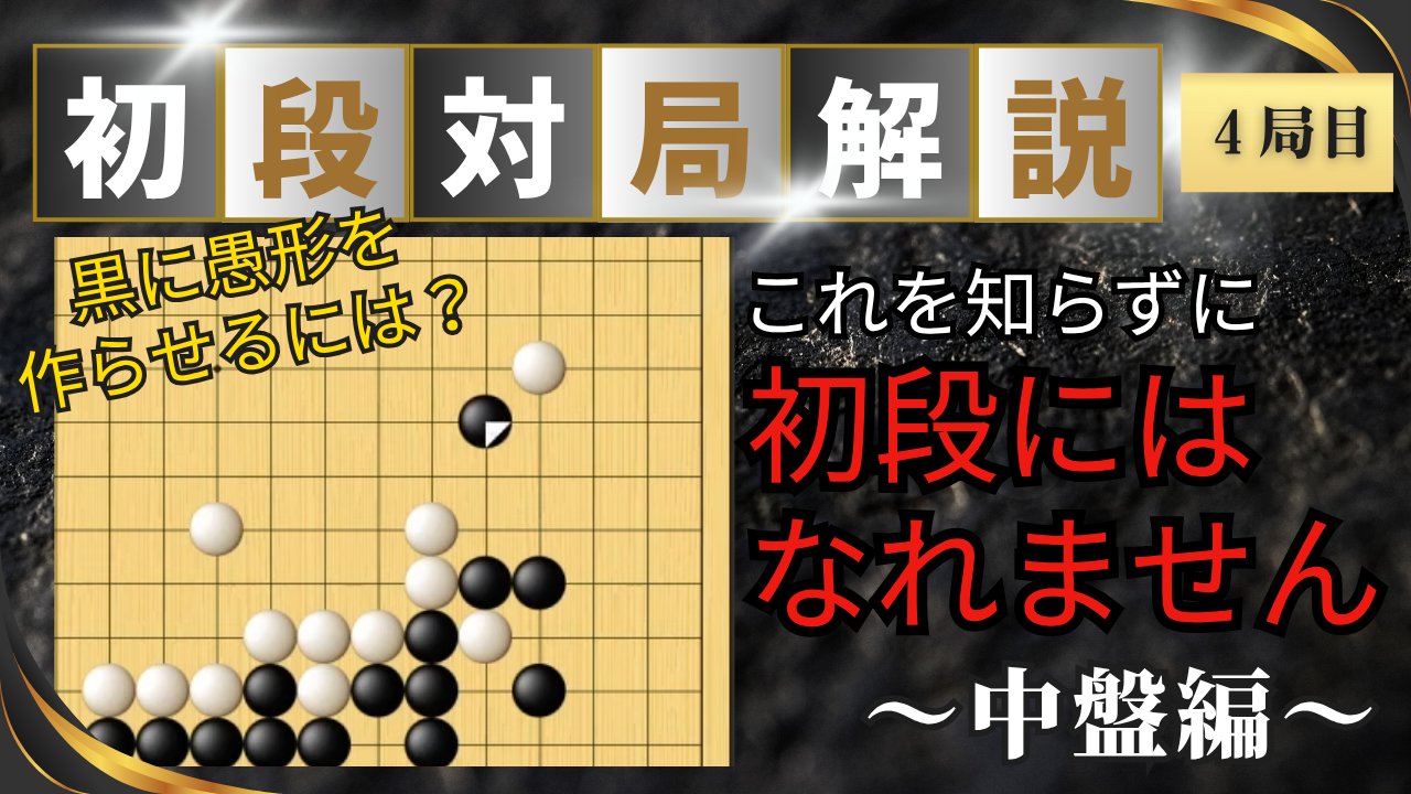 初段に挑戦する囲碁シリーズ④ 囲碁入門の原点 初段に挑戦する囲碁シリーズ④ 囲碁入門の原点