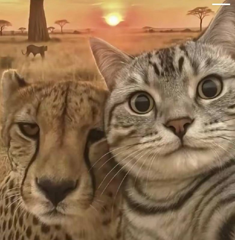 Daniel Zou (DZ) 🔶 tweet media