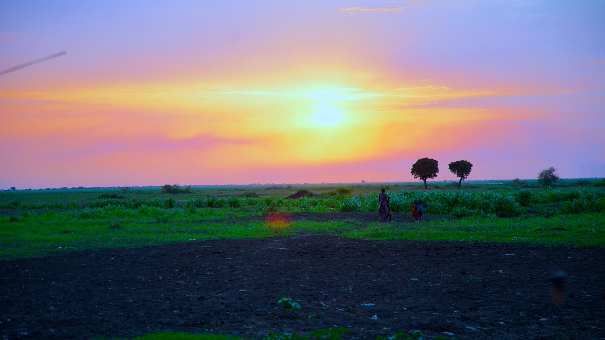 WFP_SouthSudan's tweet image. Our #PhotoOfTheWeek shows a beautiful sunset in Nyueny, where WFP began emergency airdrops last week.
@WFP aims to reach 470k people in Upper Nile and Northern Jonglei this lean season, but conflict and logistical challenges continue to limit access.
#SouthSudan
