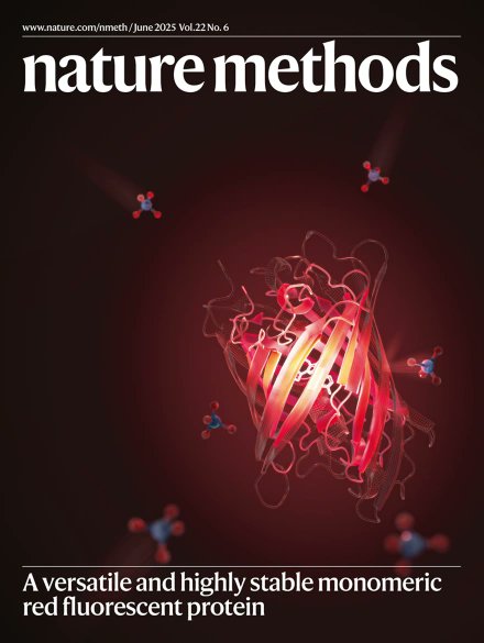 Olivier Borkowski (@o_borkowski) on Twitter photo Nice cover <a href="/naturemethods/">Nature Methods</a>
A highly stable monomeric red fluorescent protein for advanced microscopy
doi.org/10.1038/s41592… Nice cover <a href="/naturemethods/">Nature Methods</a>
A highly stable monomeric red fluorescent protein for advanced microscopy
doi.org/10.1038/s41592…