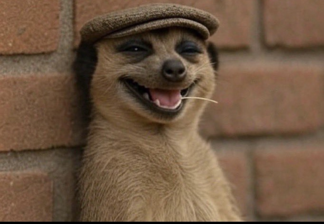 ngdznrs's tweet image. NGD looking at you beg for deadline extension after you used your weekend to flex😂😂