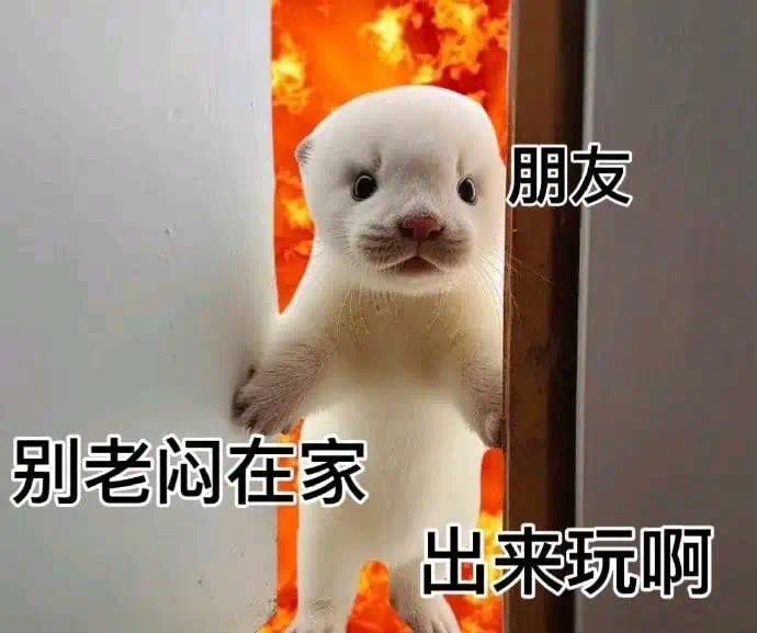 媒体预览