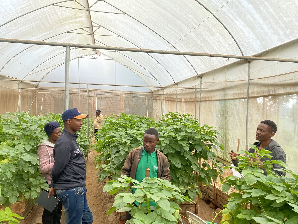 christella_wase's tweet photo. Received trainees from Rica seed Center as they embark on their journey in the seed industry. It was a pleasure sharing our Journey @Bountiful_Farm and sharing insights and opportunities that awaits for them on the ground. https://t.co/MMqPTKBIFY