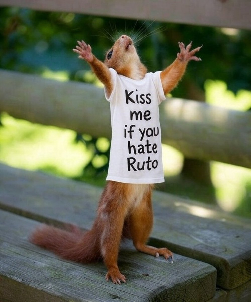 sovesolve's tweet image. Say no more, just retweet.
#77NiNumbers #SabaSaba2025 #77NiNumbers4Peace