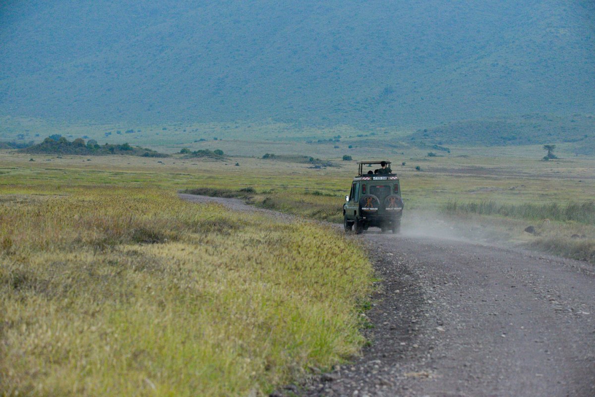 Let Great Image Expedition curate your once-in-a-lifetime safari. As the leading Professional Safari Outfitter and Planner in Tanzania, we specialize in crafting bespoke, immersive experiences tailored to your every desire.

📍 Discover Africa in style.

Email: info@gie.co.tz