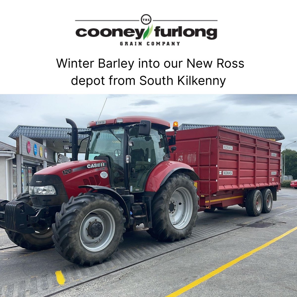 Winter Barley rolling into our New Ross depot from South Kilkenny — the harvest season is officially underway! 🌾🚜 #CooneyFurlongGrain #WinterBarley #Harvest2025