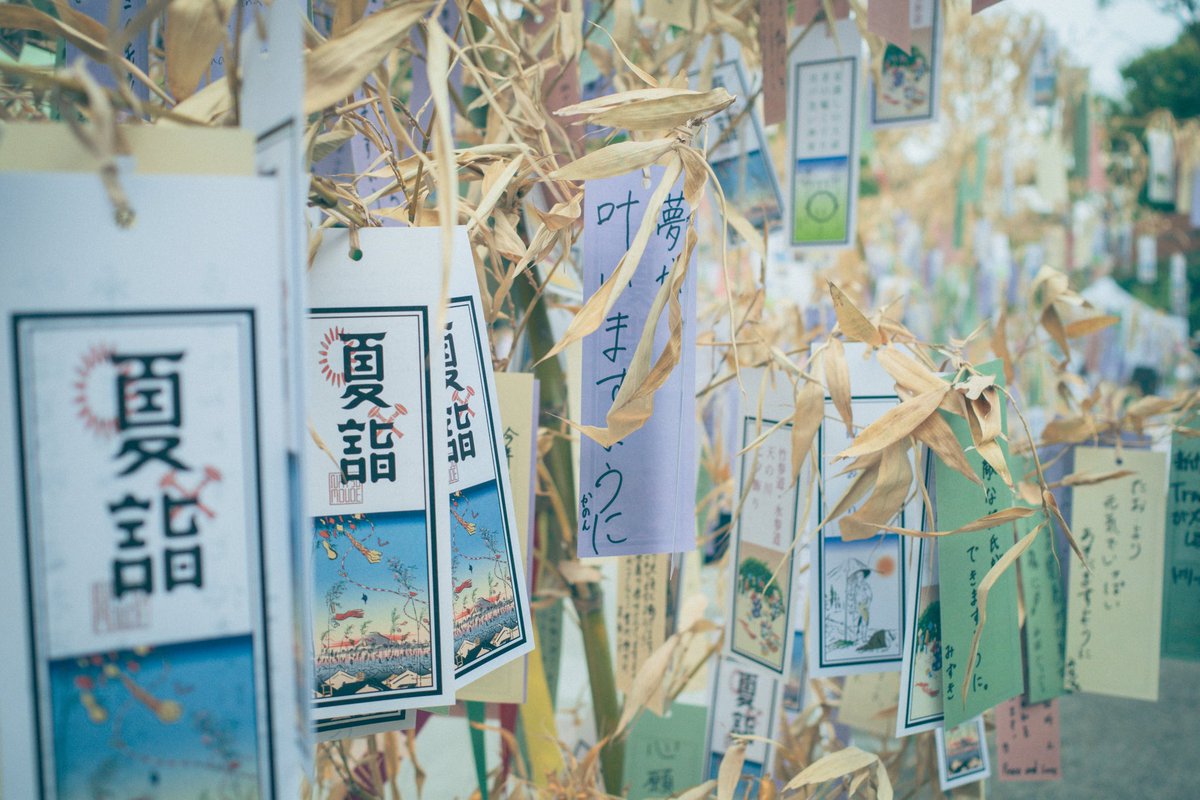 461_jp's tweet photo. 令和七年七月七日。 #浅草神社  #GRiii https://t.co/xKDn15fu9Y