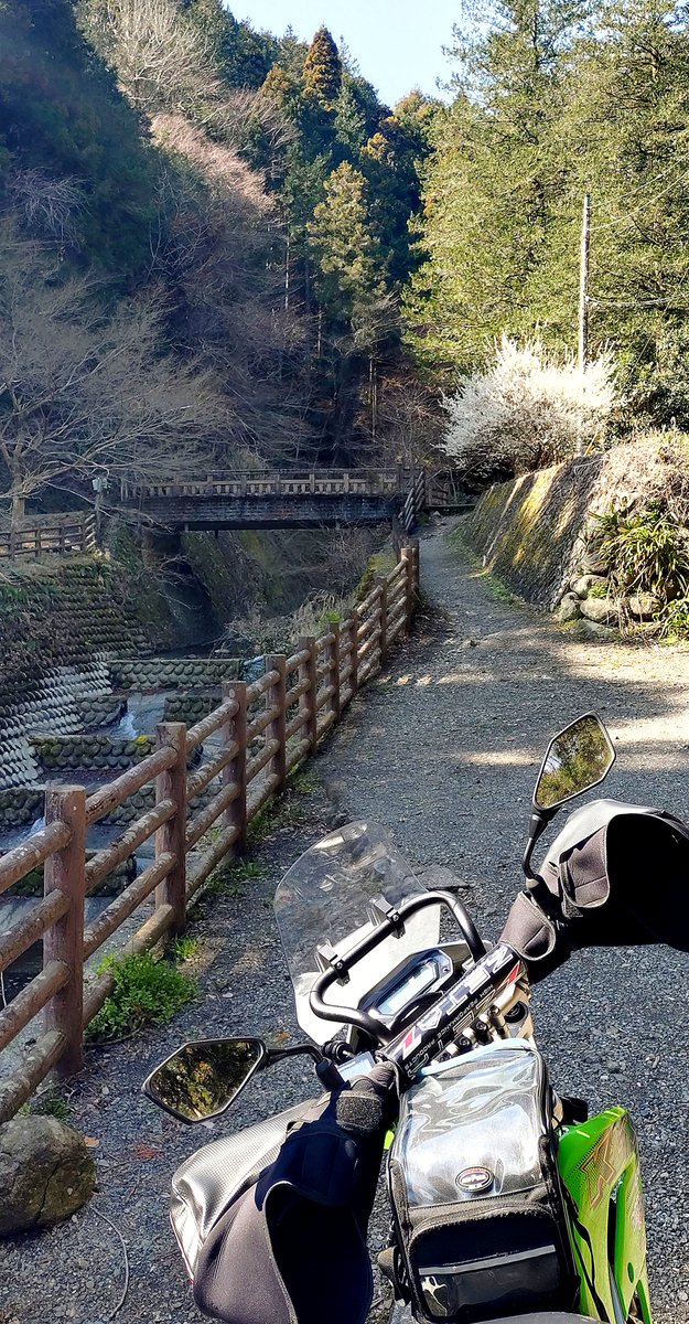 #暑いので涼しげな水辺の風景が欲しい