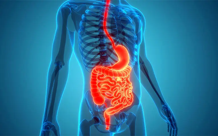 The secret to stop overeating?

GLP-1.

It's your satiety hormone which destroys hunger.

Here are 5 Simple habits to naturally supercharge your GLP-1 and and nail your nutrition for good: