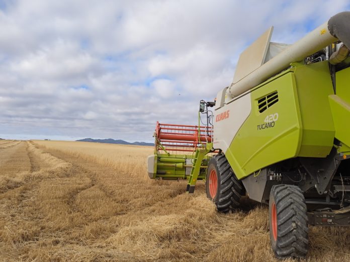 ➡️La FAO prevé que la producción mundial de cereales en 2025/26 alcance su máximo histórico.
agropopular.com/produccion-cer…