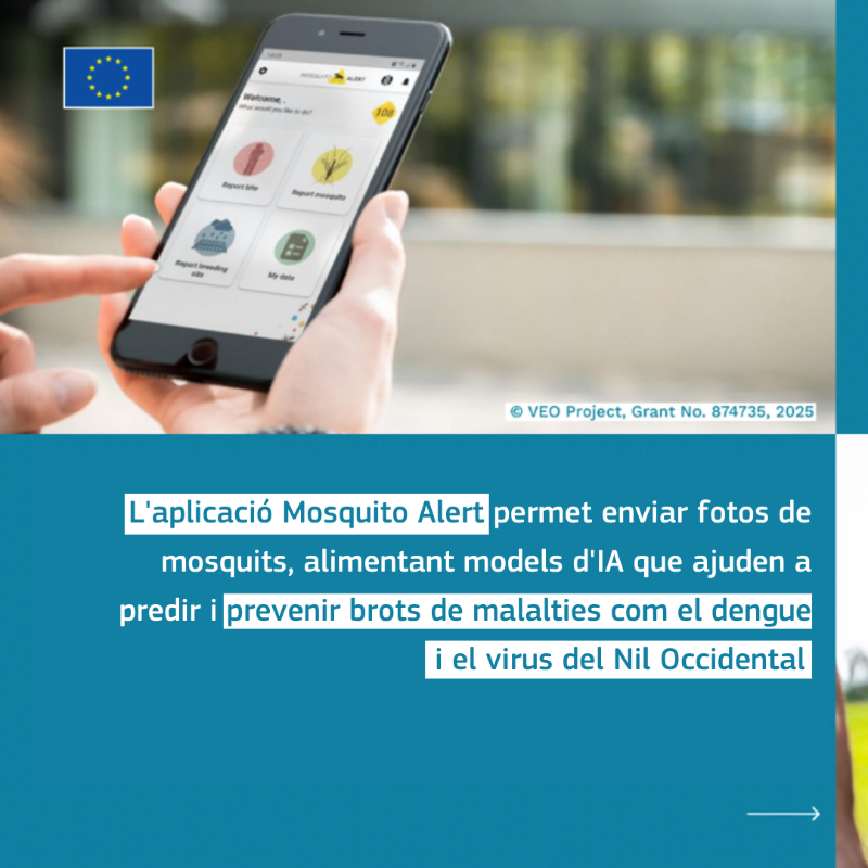 ComissioEuropea's tweet photo. 🦟Quan et piqui un mosquit: queixa't, rasca't i esbufega. Però també pots fer-te una foto!

@Mosquito_Alert és una app catalana finançada amb #fonseuropeus🇪🇺 que, a través de la participació ciutadana, permet als investigadors anar una pas endavant de la propagació de malalties.