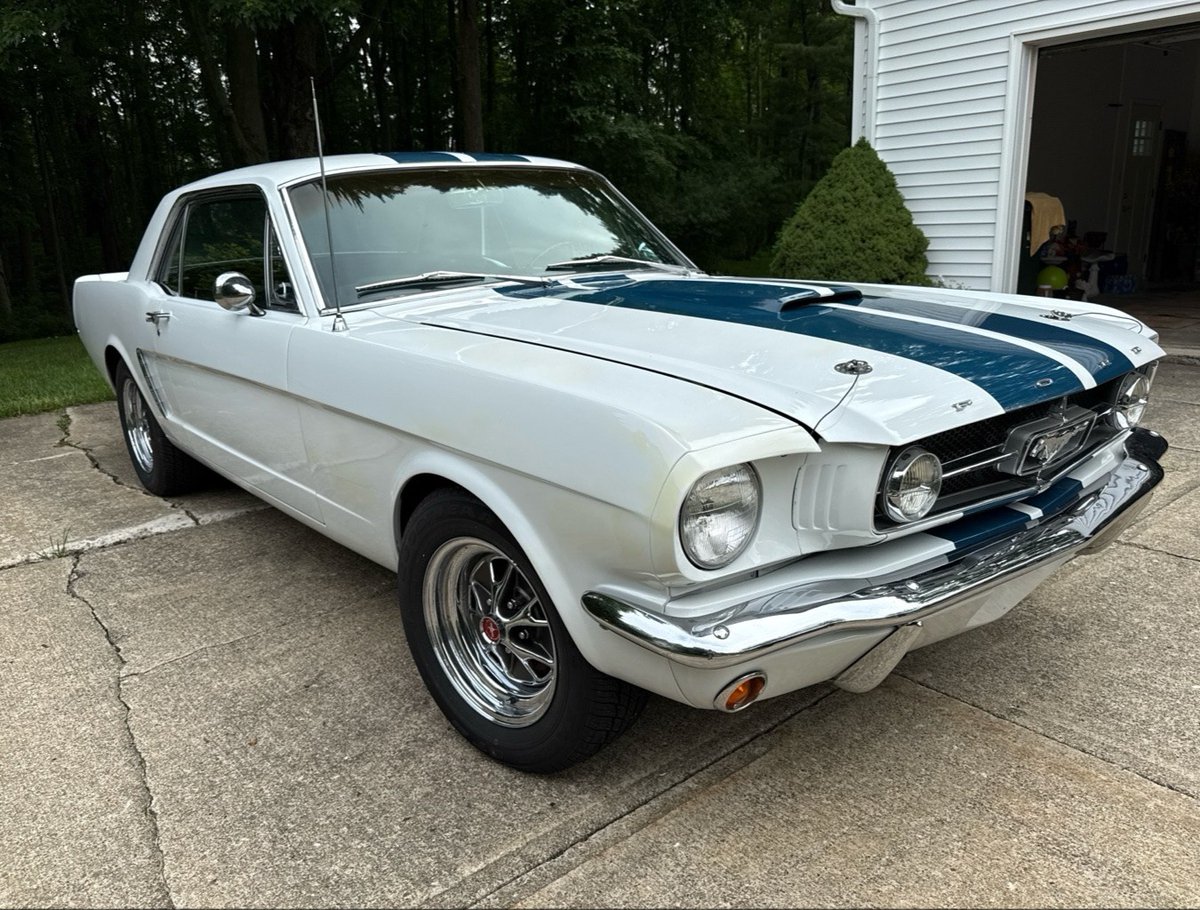 SGT Auto Transport (@sgt_auto) on Twitter photo This beautiful classic Mustang made its journey from Ohio to South Carolina!🚚
Picked up after a collector’s auction, it’s headed to a new home where it will get a full restoration. Safe transport for timeless cars is what we do best.
#Mustang #ClassicCar #SGTAutoTransport This beautiful classic Mustang made its journey from Ohio to South Carolina!🚚
Picked up after a collector’s auction, it’s headed to a new home where it will get a full restoration. Safe transport for timeless cars is what we do best.
#Mustang #ClassicCar #SGTAutoTransport