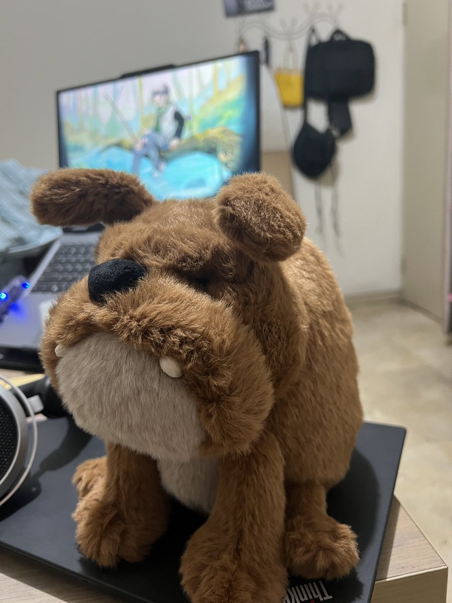 baaambu's tweet photo. On a more important note, I want everyone to meet Dee 😎 He’s been really good at keeping me sane even if he’s still new 🤣 https://t.co/R8bd5VaaPO