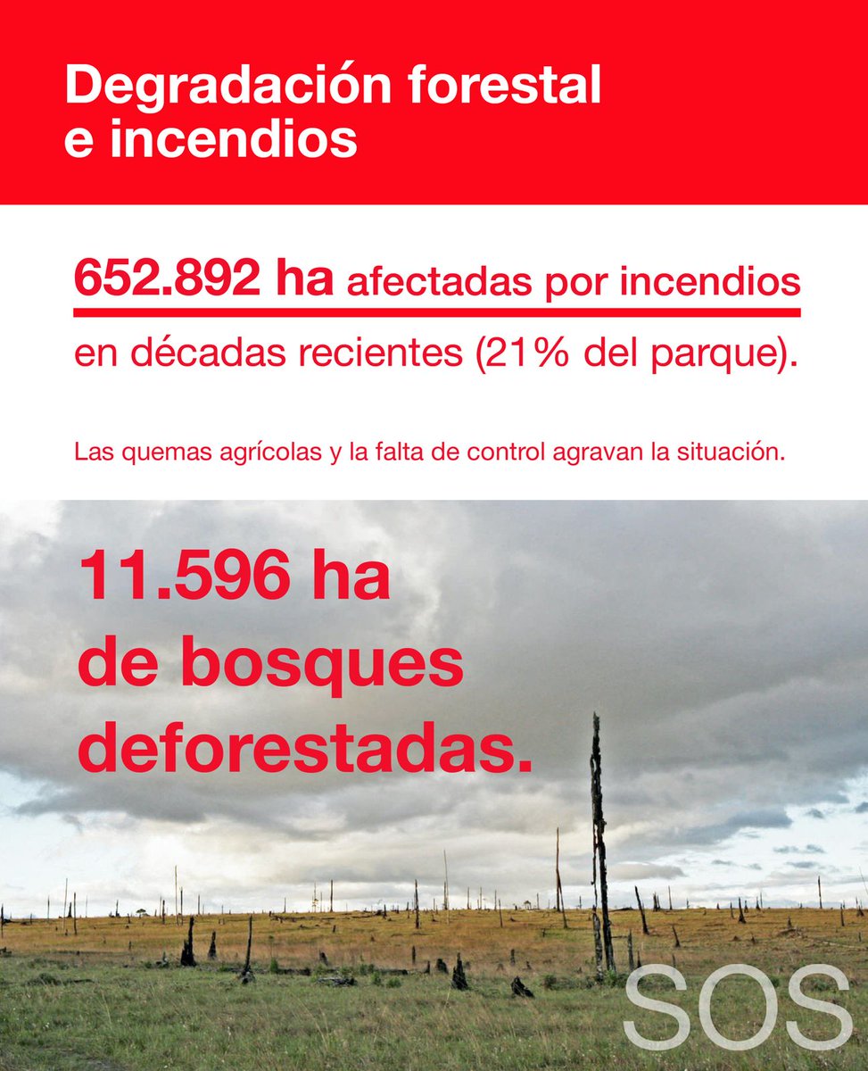 SOSOrinoco's tweet image. 📢 ¡Atención! Este 8-10 de julio, en París, la @UNESCO discutirá el informe oficial sobre el estado de conservación del Parque Nacional Canaima 🇻🇪, Patrimonio Mundial desde 1994.
Estas infografías resumen el informe de UNESCO⬇️ drive.google.com/file/d/1jojMrp…
‼️Este informe responde…