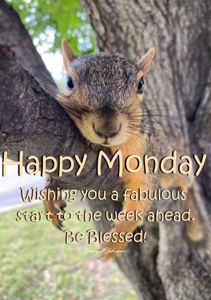 allcanadianmom tweet media