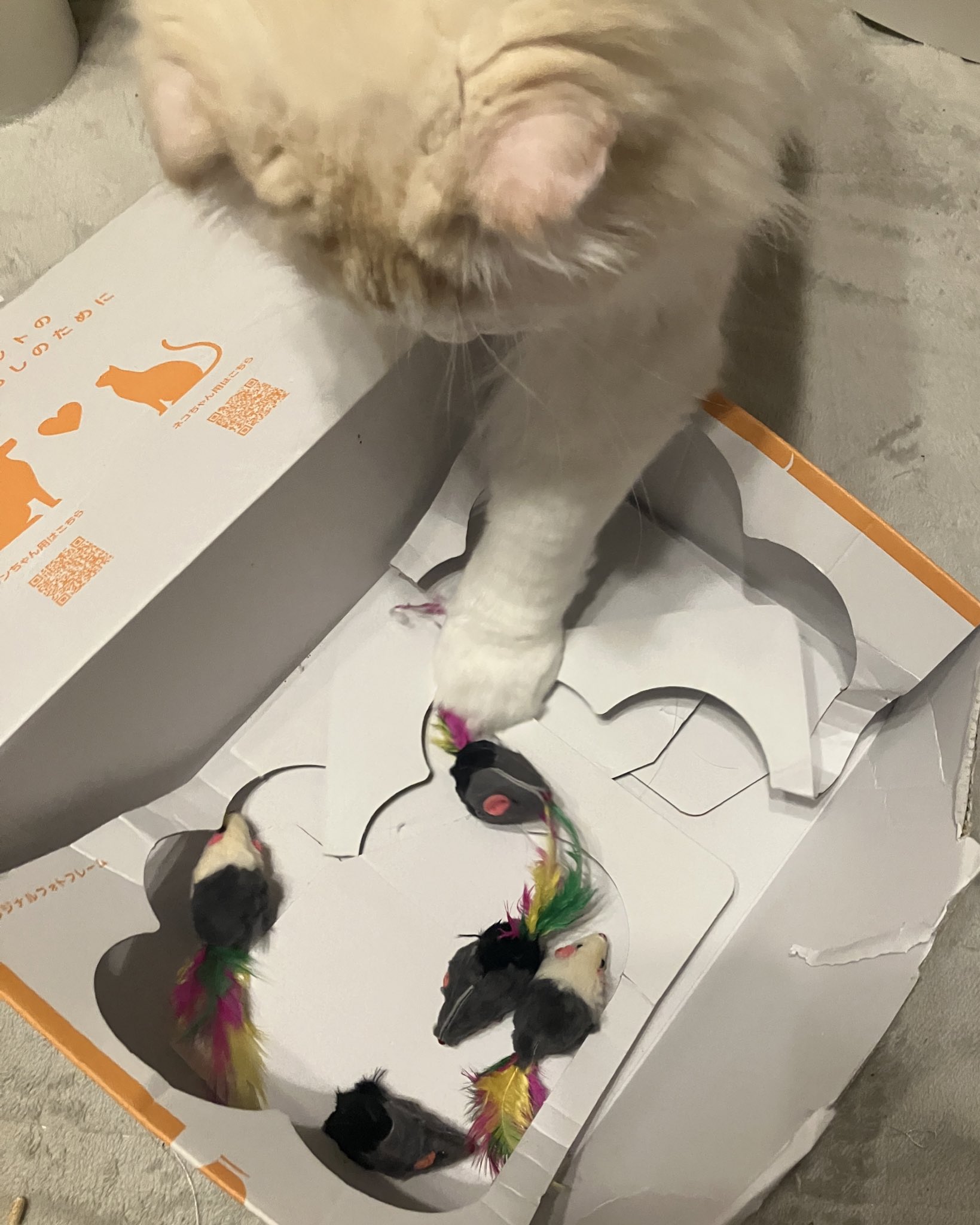 ねこじるしちくわ 化けギツネのちくわ - 商品一覧 - 【ローソンプリント