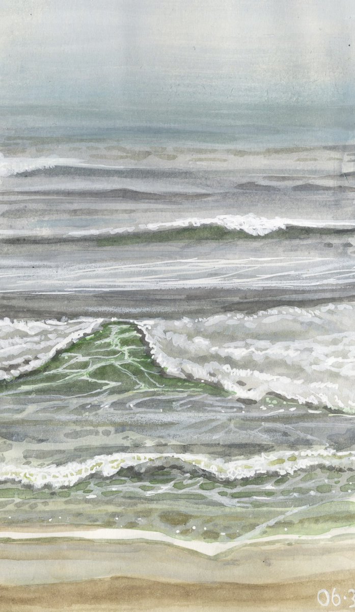 Lisa Fields tweet media