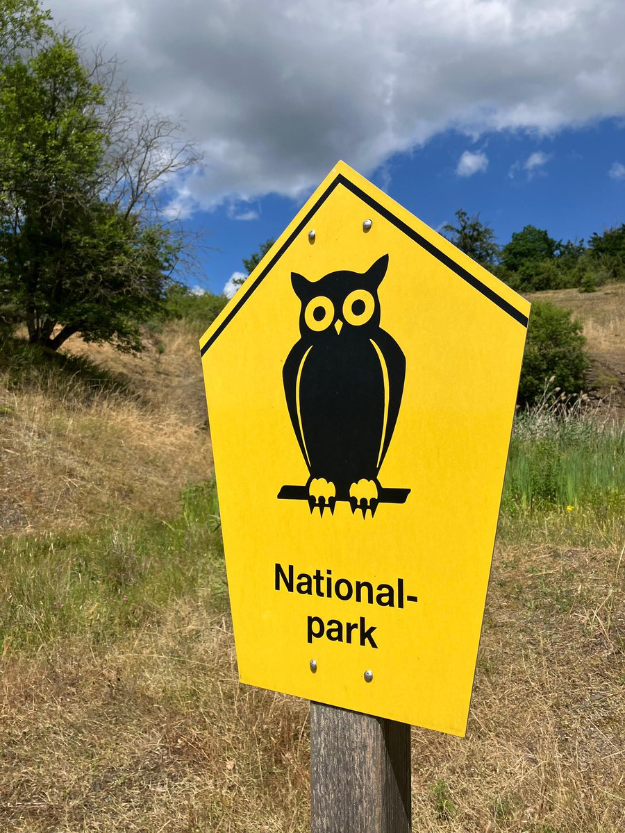 Nach meinem Vortrag in #Düsseldorf war ich auf der Rückreise mit Jonas Schick, Chefredakteur der Naturschutzzeitschrift <a href="/Die_Kehre/">Die Kehre</a> , im schönen Hessen wandern. Den Nationalpark Kellerwald-Edersee kann ich jedem empfehlen!

Anschließend ging es weiter zum Sommerfest nach