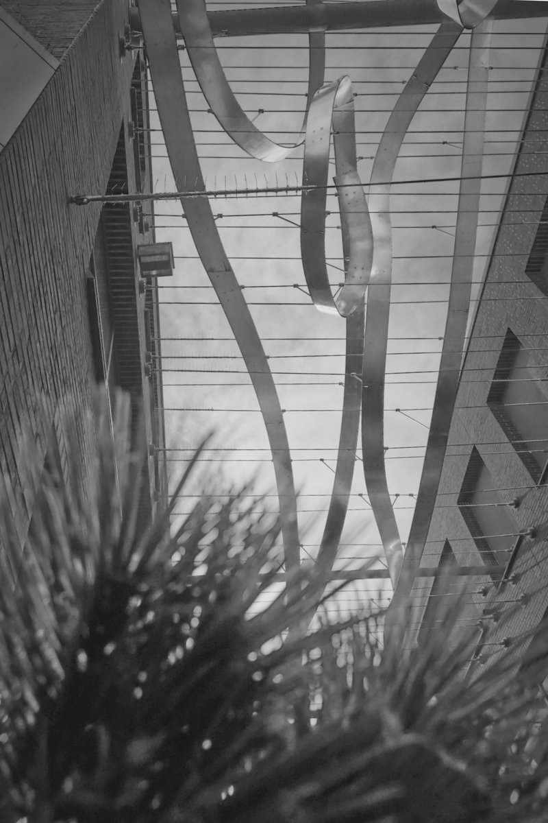 marco_port's tweet image. 📷 STEEL SERENADE ⬜️
Captures the rhythmic dance of suspended steel ribbons weaving between urban walls.
Place: Hildesheim, Germany
Date: 06/2025
🔘 editions: 10
🔘 price: 2 $XTZ
🔗 @objktcom: objkt.com/tokens/KT1WYvy…
#NFTs #photography #monochrome #blackandwhitephotography