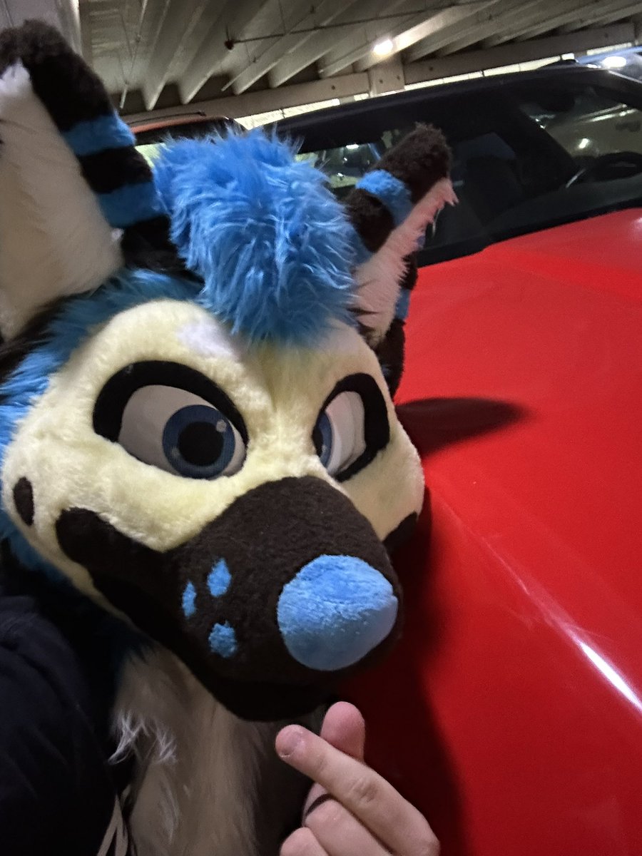 If you got a pic with me at Anthrocon, comment it here!!!