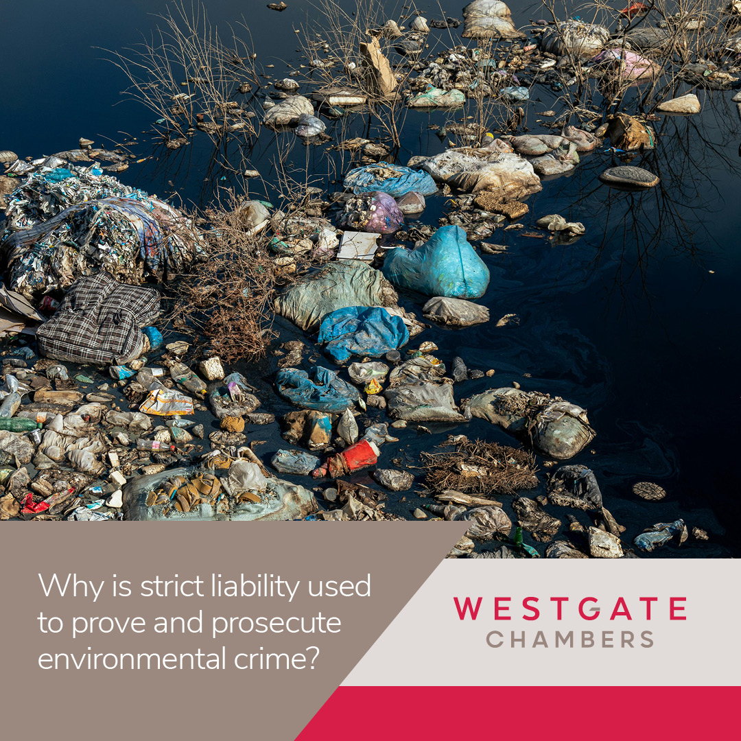 You can be guilty of an environmental crime even without intent. Our latest blog breaks down strict liability and what it means for businesses and individuals. 
westgate-chambers.co.uk/blog/environme…
#EnvironmentalLaw #StrictLiability #LegalInsights