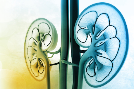 Great news - Hundreds of people in Wakefield and across the region will benefit from life-saving abdomen scans following new funding from Yorkshire Cancer Research.
To read more:
actionkidneycancer.org/screening-prog…