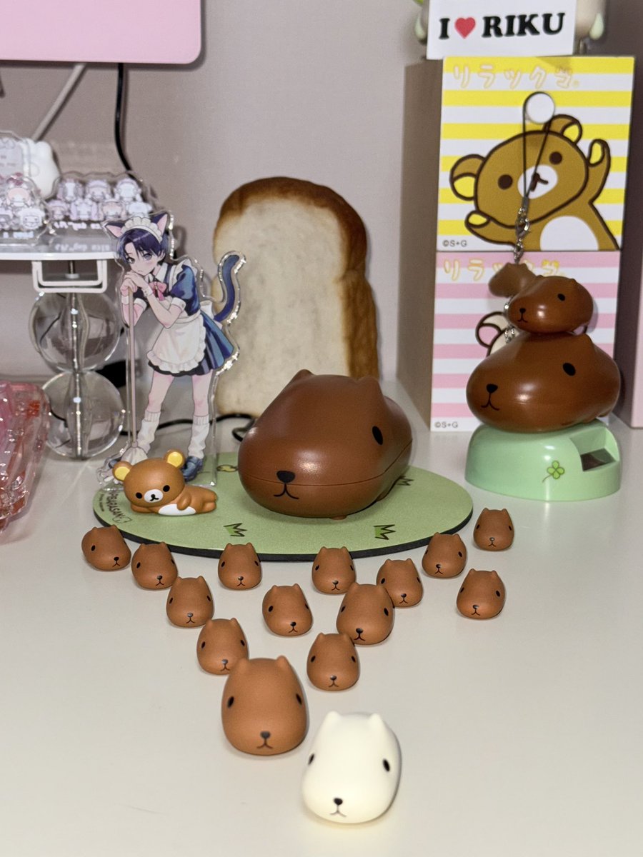 똥뺑이쳐라아아아!!!!!!!!!!!!!
