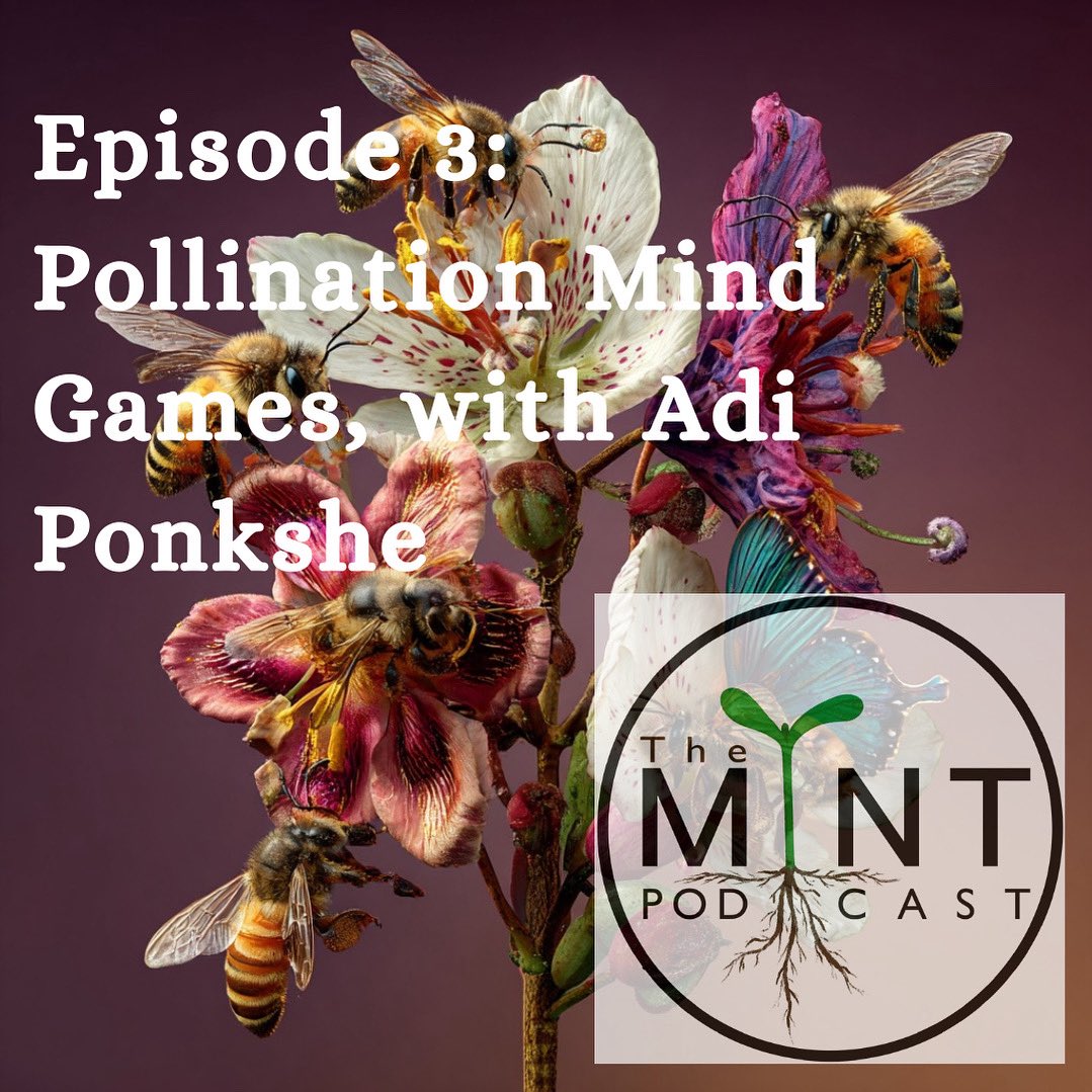 MINT Lab tweet media