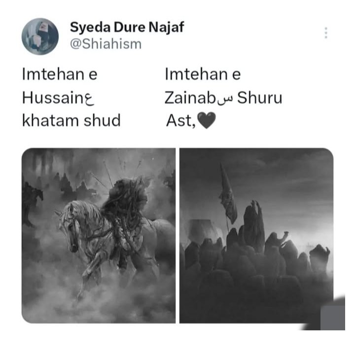 Syeda Dure Najaf tweet media