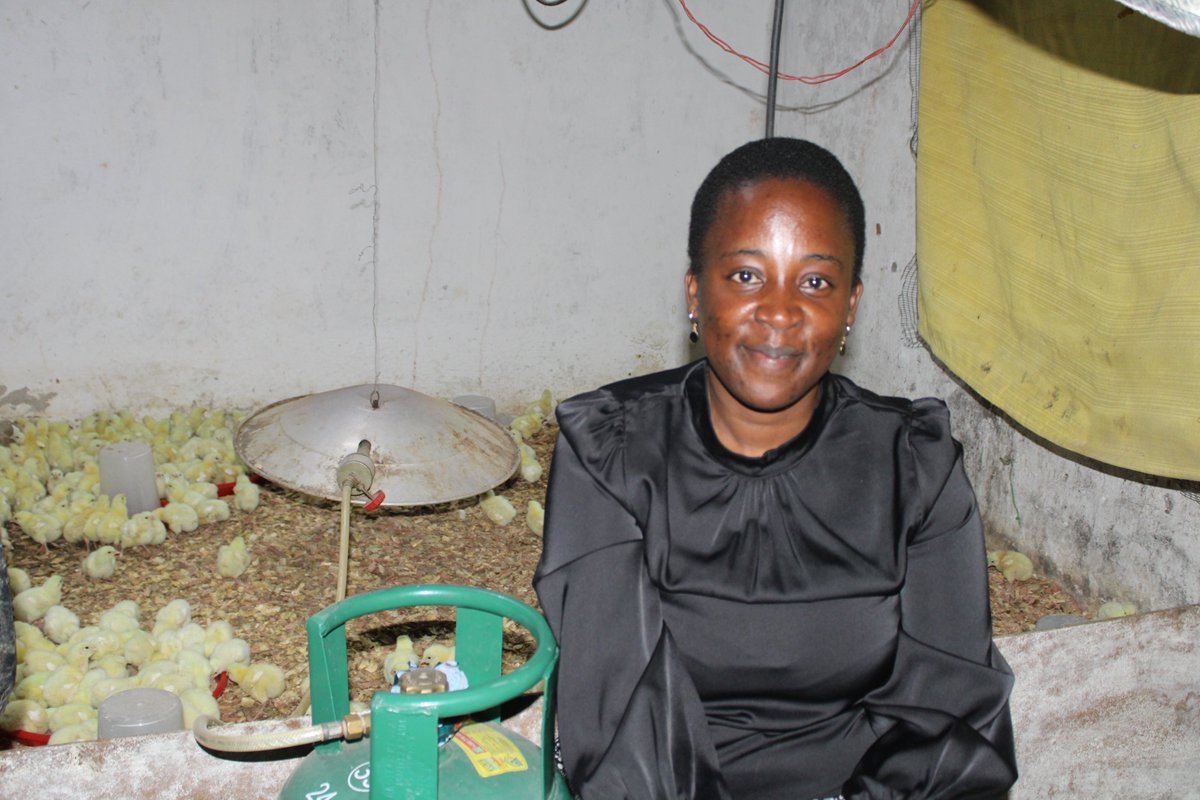 ENTERPRISE Zambia Challenge Fund tweet media