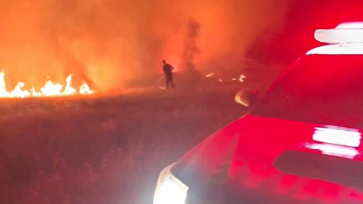 📌Orman yangını soruşturmasında bir kişi tutuklandı 

amedhaber.net/orman-yangini-…