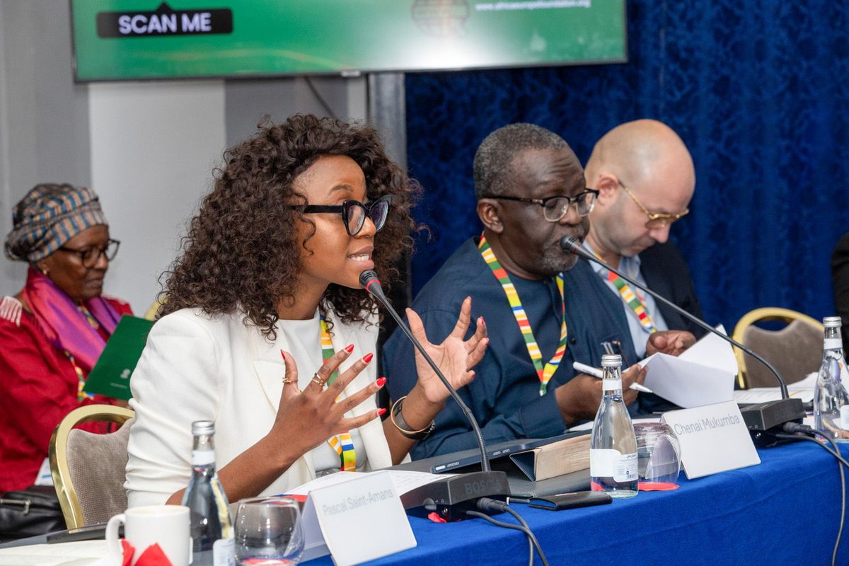 African and European leaders, policymakers, economists, and civil society actors have called for the establishment of a UN Framework Convention on International Tax Cooperation to ensure fairer rules and greater African representation. This was during a High-Level Roundtable