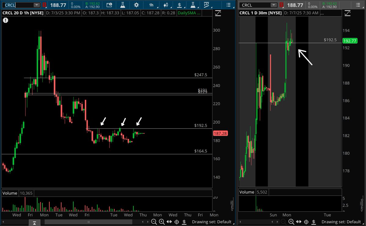 TradeBrigadeCo's tweet photo. $CRCL – Everyone's real quite about this one right now... usually the time it starts to wake back up. Sleeper little breakout level at 192.5 this morning in play. https://t.co/tL7Gs1ZusO