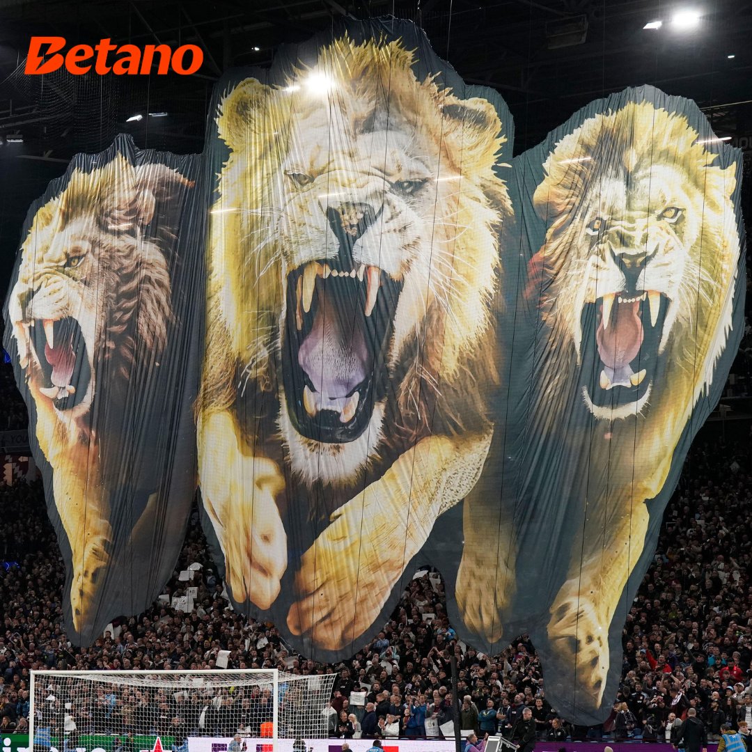 𝟒𝟎 𝐝𝐚𝐲𝐬 𝐭𝐨 𝐠𝐨...

Aston Villa kick off their Premier League campaign against Newcastle. 🦁

#AVFC