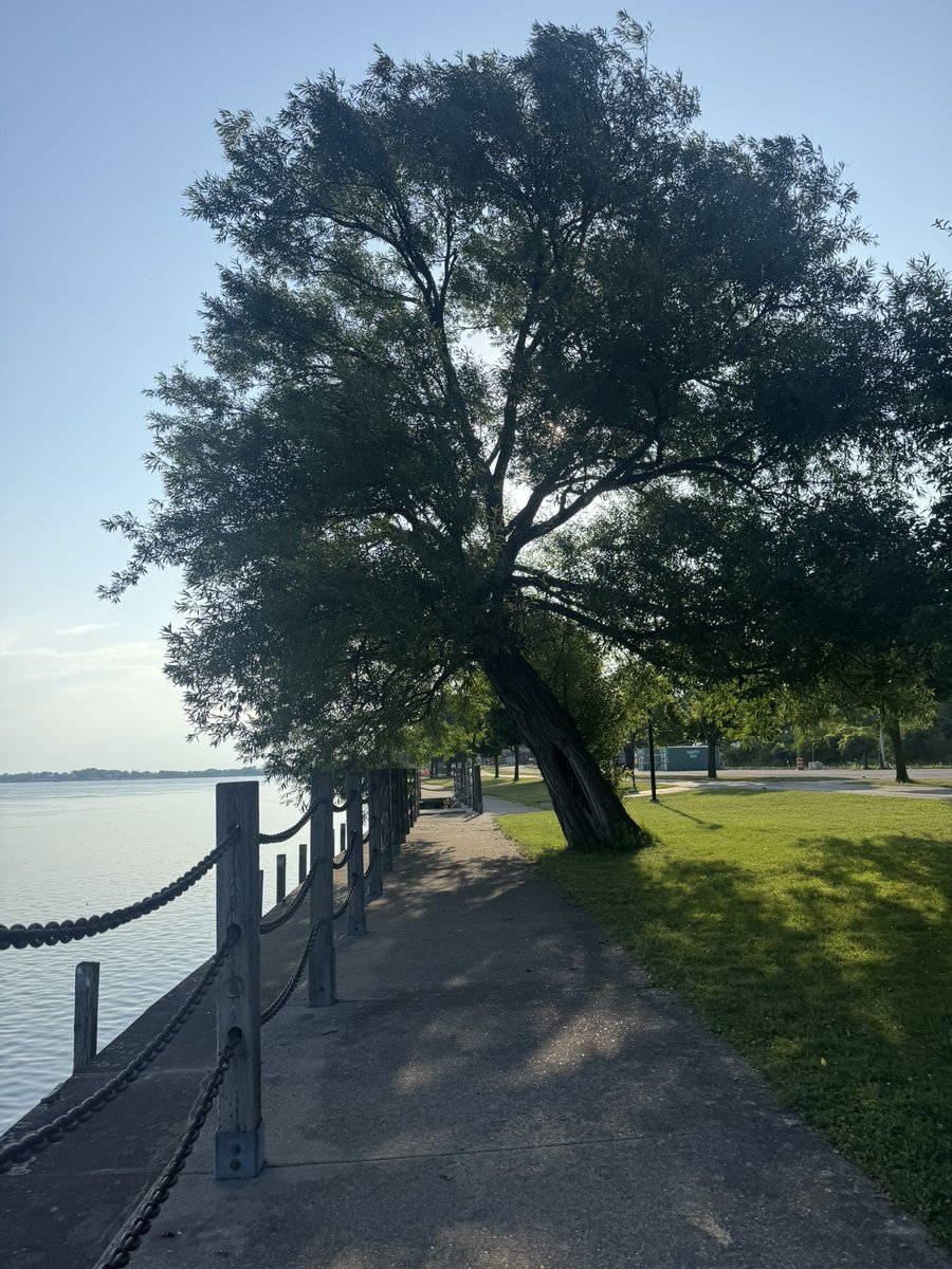 Absolutely gorgeous morning! 

Hope everyone has a happy and productive week 🥰