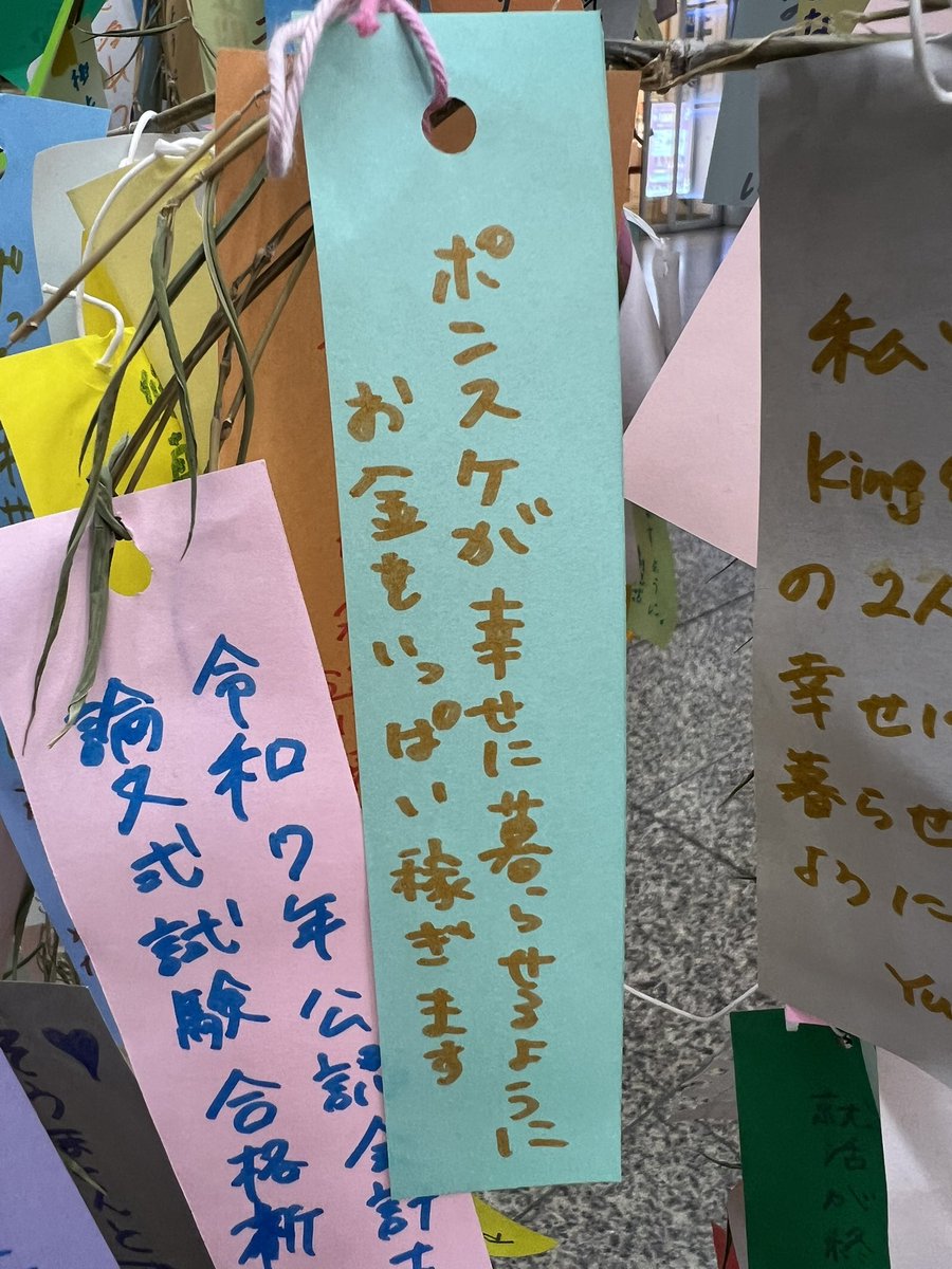 Tomoko Konae/小苗智子 tweet media