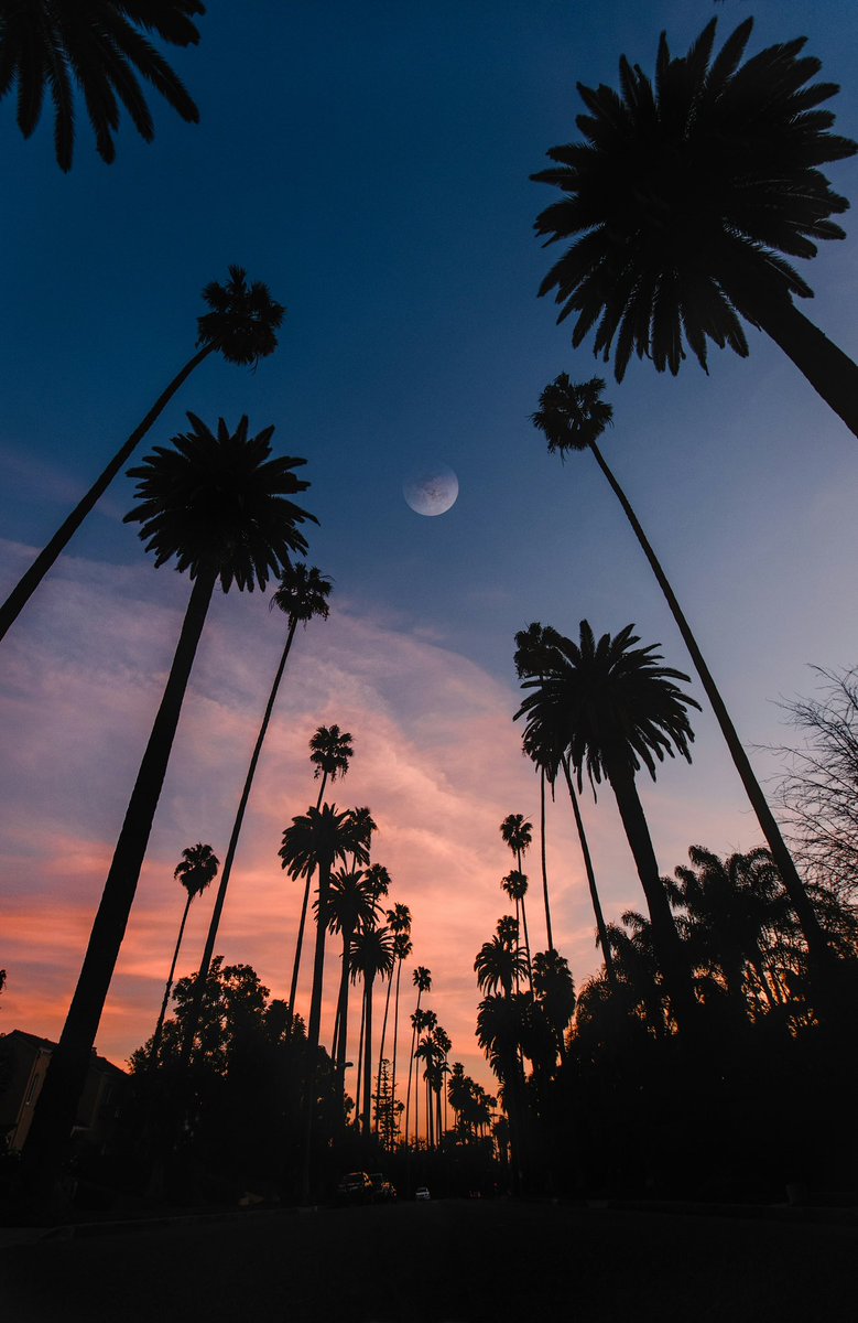 California dreaming ✨