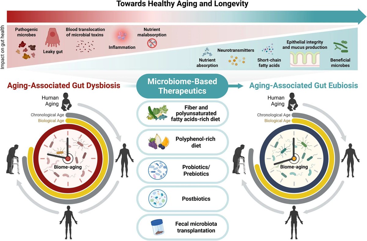 Javier Santoyo (@jsantoyo) on Twitter photo Microbiome-based therapeutics towards healthier aging and longevity. #Mibrobiome #Aging #MicrobiomeTherapeutics <a href="/GenomeMedicine/">Genome Medicine</a>
genomemedicine.biomedcentral.com/articles/10.11⦠Microbiome-based therapeutics towards healthier aging and longevity. #Mibrobiome #Aging #MicrobiomeTherapeutics <a href="/GenomeMedicine/">Genome Medicine</a>
genomemedicine.biomedcentral.com/articles/10.11ā¦