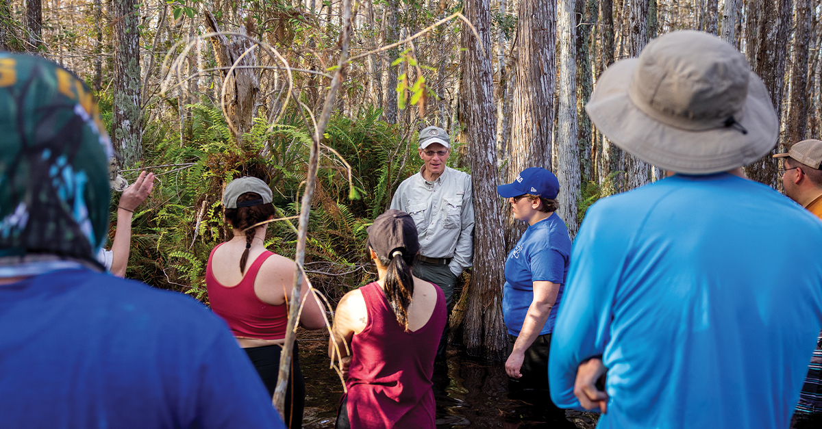 ubalumni's tweet image. No lecture halls here—just the wild beauty of the Everglades. 🌿 #UBuffalo students spent a week learning on-site in Florida’s unique ecosystem through the Ecology of Unique Environments course, led by Sandy Geffner, EdM ’81. ms.spr.ly/6012SLa2j