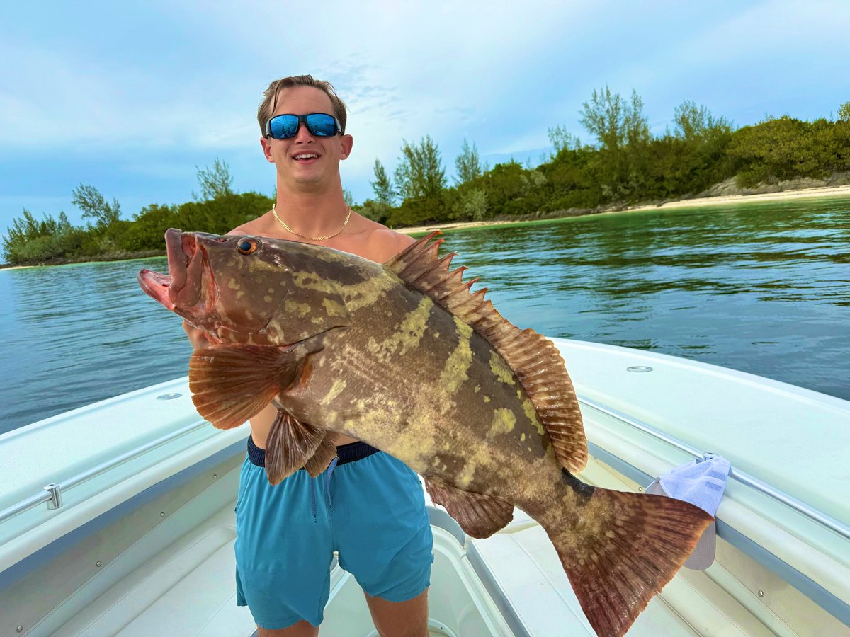 Brogan McNab 3 ⭐️ QB/ATH tweet media