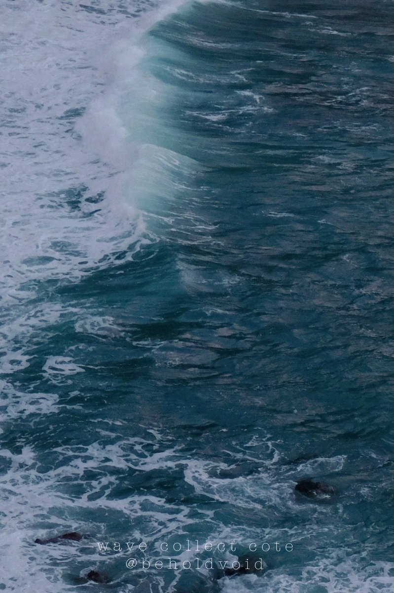 𝚌𝚘𝚝𝚎 tweet media