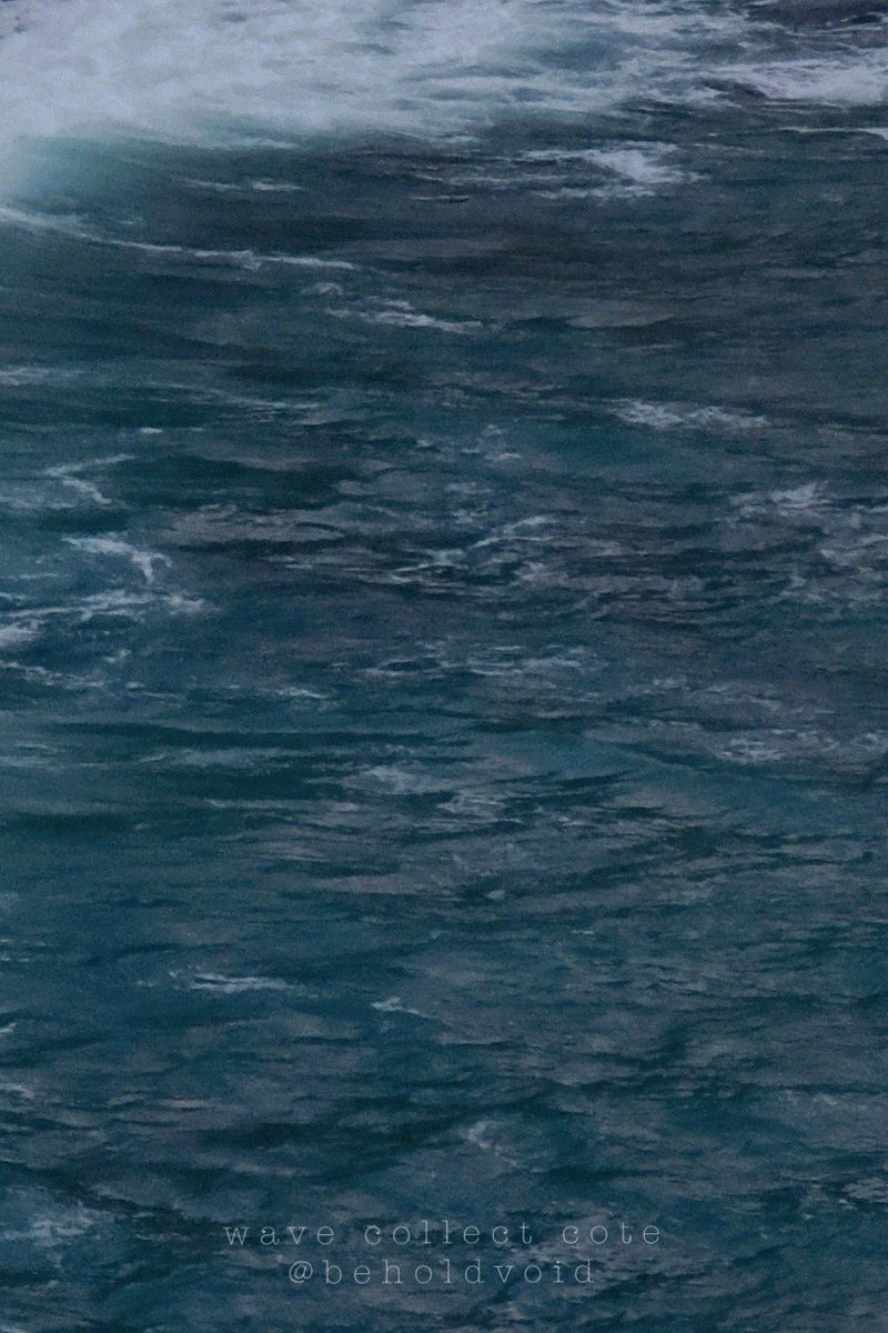 𝚌𝚘𝚝𝚎 tweet media