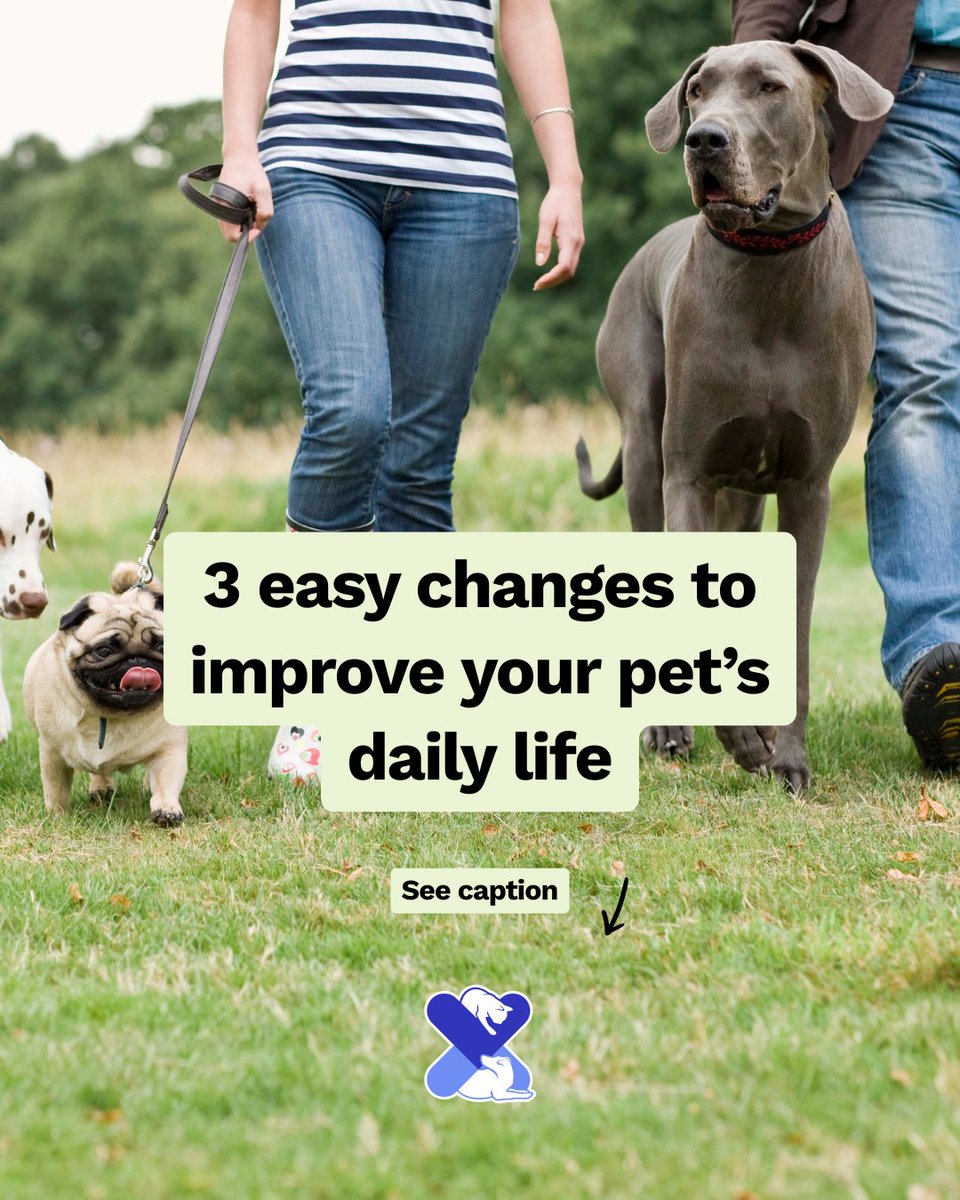 3 easy changes = happier, healthier pets 🐾

🧠 Puzzle feeders
🚶 Daily walks
🍽️ Quality food

Small swaps, big benefits!

#PetTips #UKPetDrugs #PetWellness #DogCare #CatCare #PetHealthUK