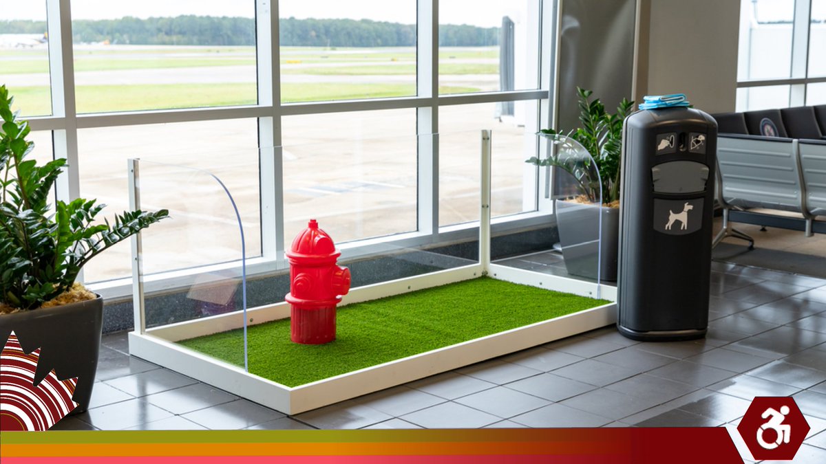 #DYK ? 
Under the #ATPDR, airports must provide designated service dog relief areas on both the secure and public sides of the terminal. 
Visit your airport's website to find out where their pet relief areas are located.