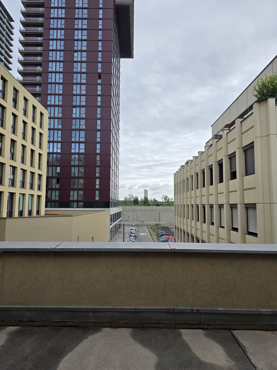 Ich liebe diese milden Novembernachmittage 😌