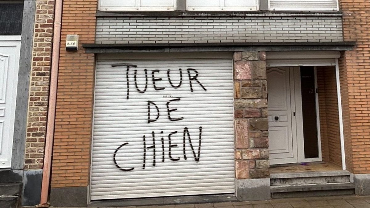 BastianGct's tweet photo. Lz maison du propriétaire de l'animal qui a été traîné à 80km/h, a été incendiée durant la nuit de dimanche à lundi.
Le bourgmestre d'Oupeye,  lance un appel au calme : "on passe la mort dramatique d'un chien à une chasse à l'homme".

La justice.
Toujours.

#AnimalRights https://t.co/LRNbt1bPSa