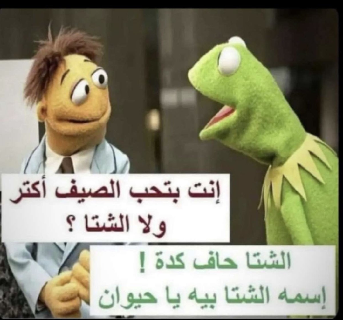 T_AlRawaf's tweet image. واحشنا الشتاء بيه 😔