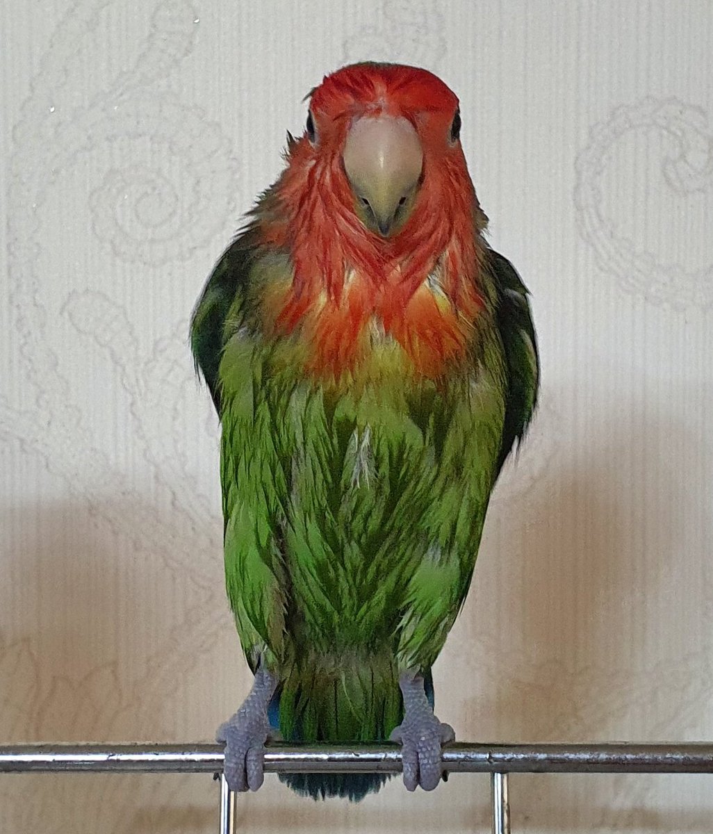 2022.05.08
빠질수없는대회